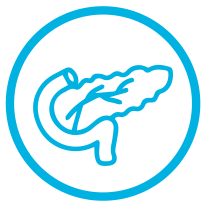 Image of Pancreas