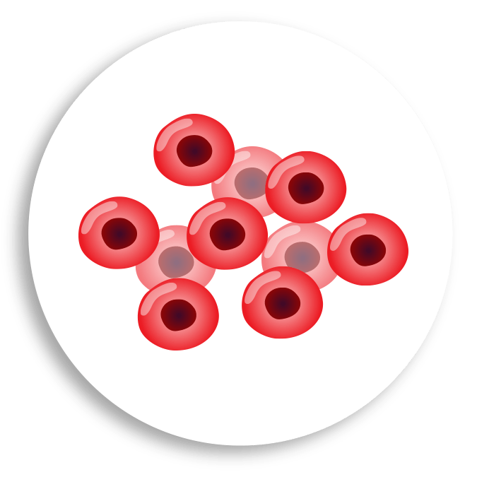 Blood Cells